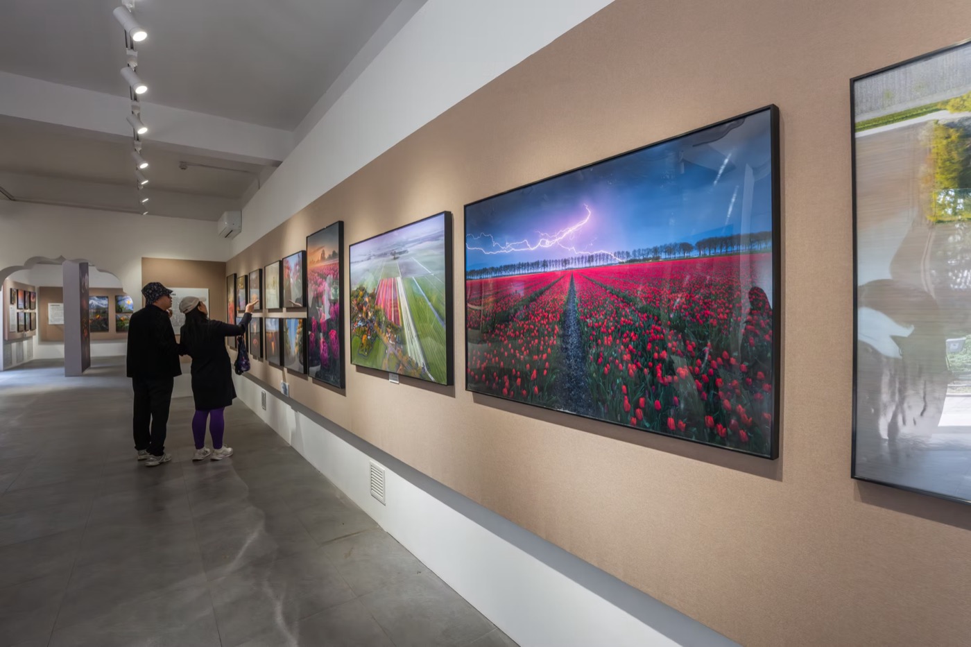 The project on exhibition