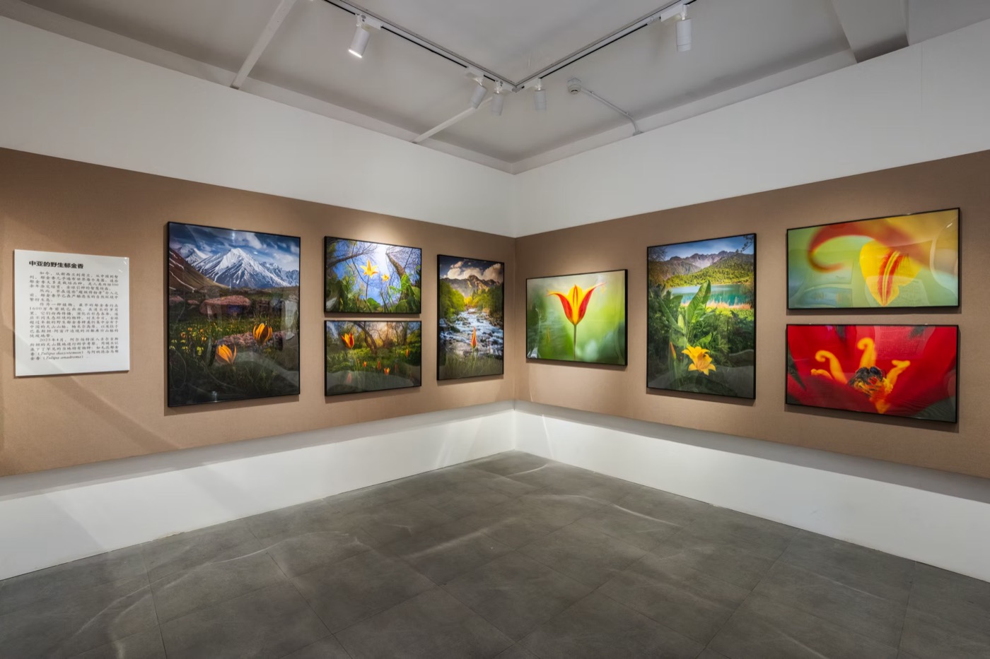 The project on exhibition